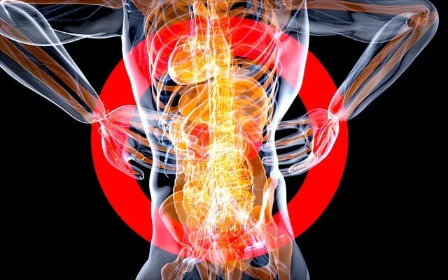 Chronic Pancreatitis treatment in Ayurveda