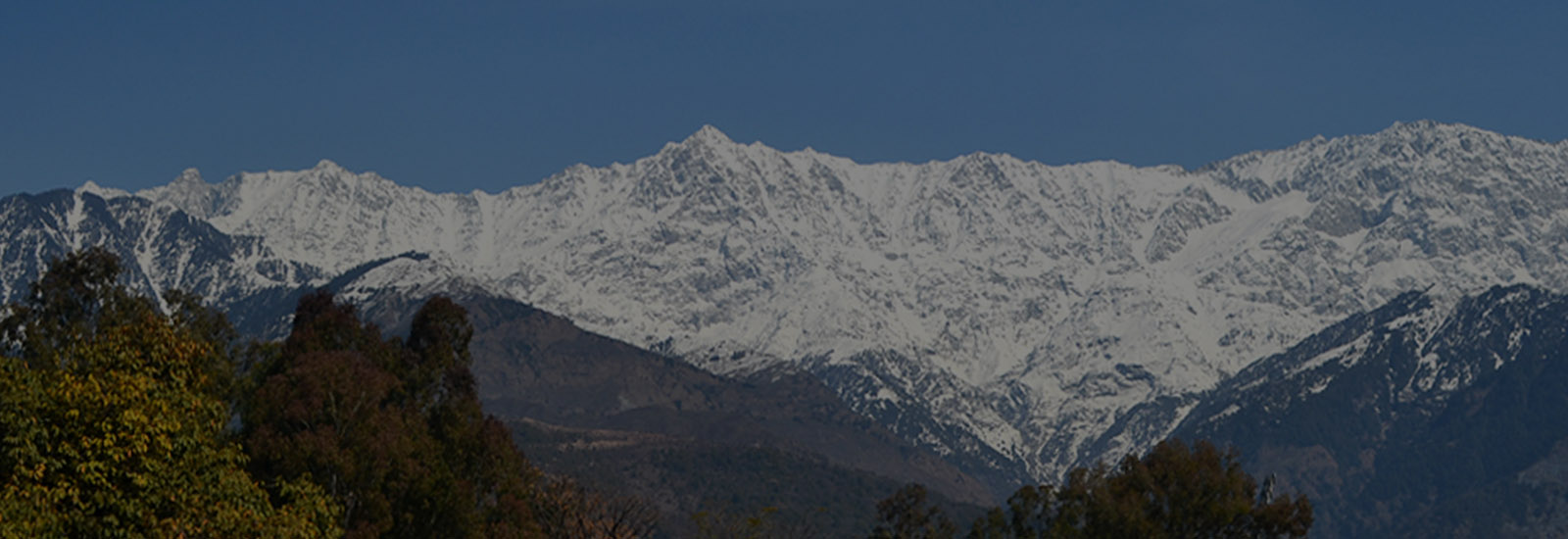 Traditional Ayurvedic treatments Dharamshala Himveda