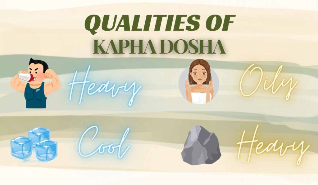 Qualities of kapha dosha